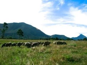 Love Earth Farm