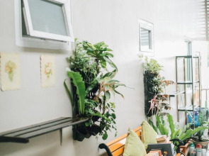 Chilli Hotel & Restaurant