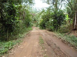 Tarantula Hostel