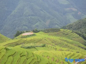 Longsheng Qishanyue Homestay (Qixing Banyue Viewing Platform)