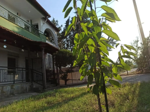 2km from Ammolofi! Solitary - Calm - Spacious - Introductory Price