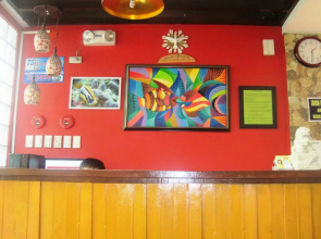 Happy Turtle Hostel
