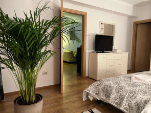 Herastrau Park Apartment