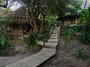 Thonga Beach Lodge