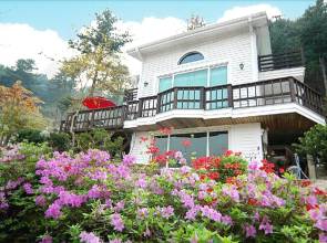 Gapyeong Pine Hill Pension