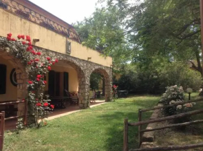 Rosaspina
