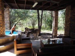 The Wild Bunch Safari House