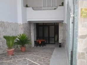 B&B Brunetta