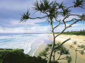 Shelly Beach House 1