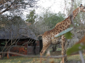Doringpoort Safari Lodge