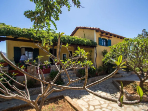 Gorgeous Stone Cottage by the sea