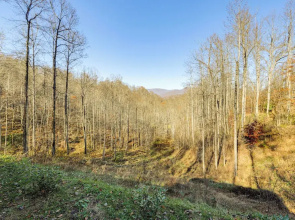 Hot Tub Haven! Mtn-view Home 13 Mi to Bryson City!