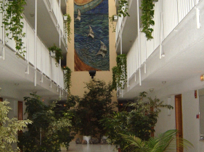 Apartamentos Avenida