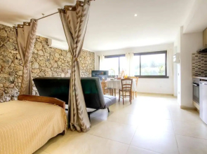 Studio in Moltifao, With Wonderful Mountain View, Furnished Garden and Wifi - 20 km From the Slopes