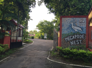 Megapode Resort -Port Blair