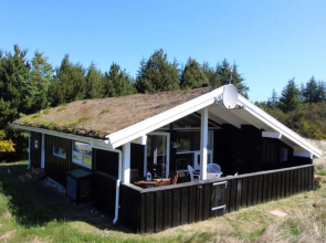 "Sharanya" - 1.6km from the sea in NW Jutland