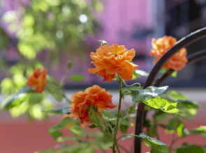 U Yudzhina Guest House