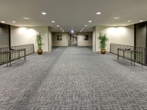 Hilton Chicago O'Hare Airport