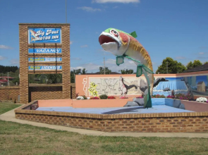 Big Trout Motel