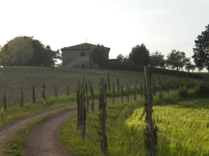 Tenuta La Casetta
