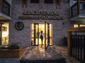 Miracle Seasons