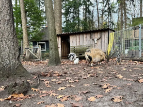 Chalet in Lochem Near Forest & Cycling