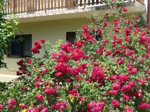 House Mesić