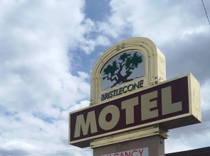 Bristlecone Motel
