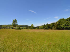 Pleasant Fermette with Outdoor Swimming Pool near Durbuy