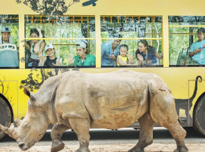 Отель Wyndham Grand Phu Quoc