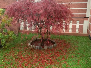 Resort Dependance di Villa Rosa Maria