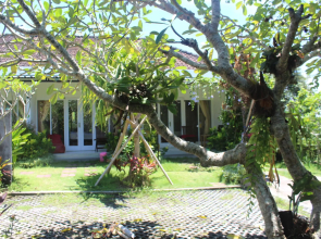 Summer Homestay