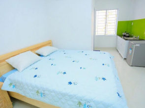 Thap Ba Hana Apartment