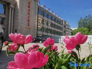 Suifenhe Longhai Century Hotel
