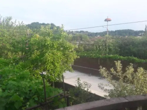 Green Yard