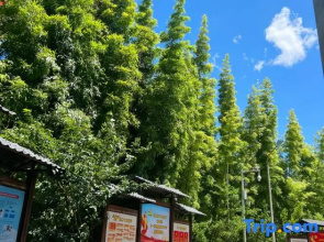 Pingnan Warm House Homestay