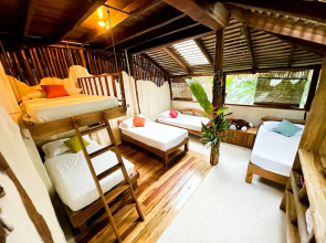 Casa Vida Verde