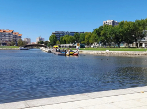 White Design Apartment