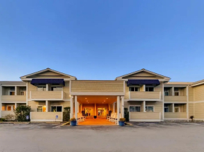 Palm Suites