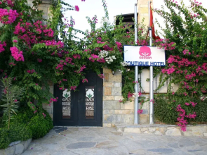 Cotton Boutique Hotel 16+