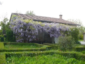 La Corte I Oca