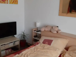 Private Apartment Lulfingweg