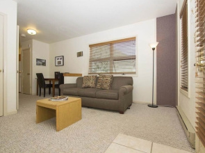 Telluride Ski Resort CO - Viking Lodge Condos