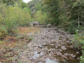 Dry River Cabin