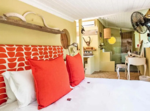 Aloe Corner Franschhoek