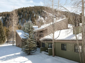 The Forest Neighborhood by Keystone Resort