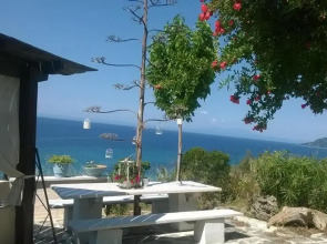 Villa Olga studios