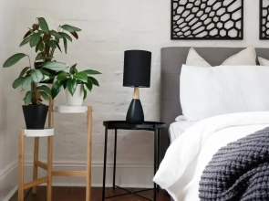 Perfect Laneway Terrace Surry Hills