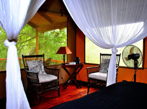 Lion Tree Top Lodge