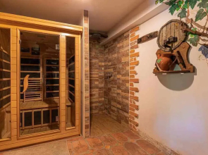 Vineyard cottage Rataj 2